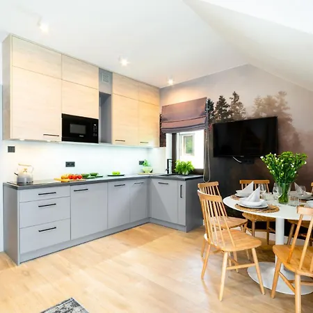 Apartment Dwupoziomowy Szyszka