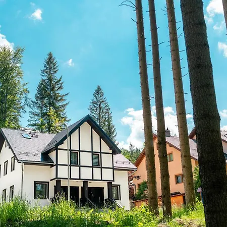 Dwupoziomowy Szyszka *