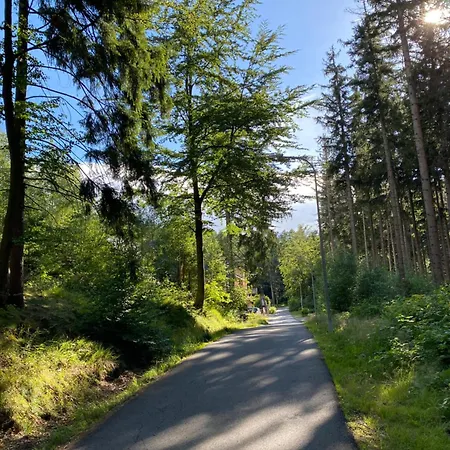 Dwupoziomowy Szyszka Karpacz