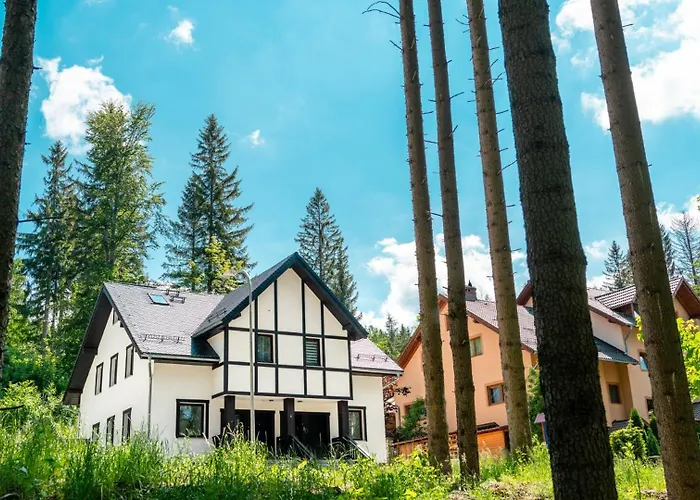 Dwupoziomowy Szyszka *