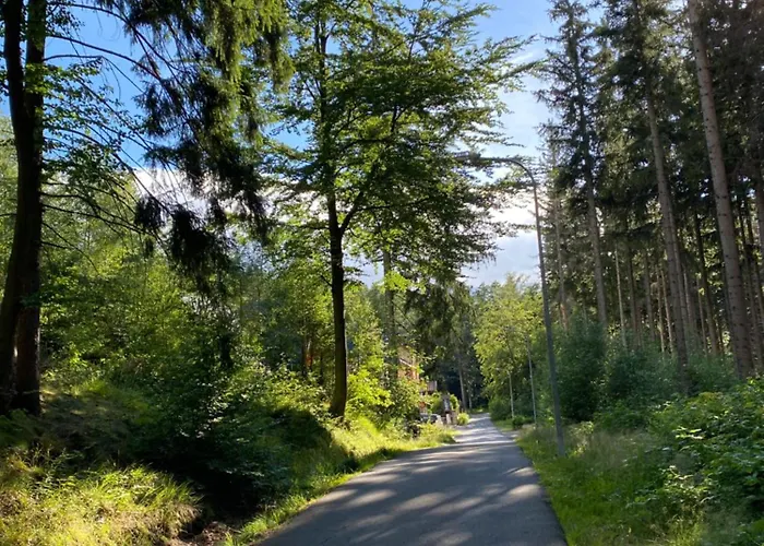 Dwupoziomowy Szyszka Karpacz